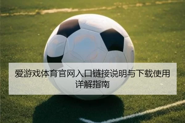 爱游戏体育官网入口链接说明与下载使用详解指南